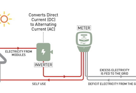 Rooftop Solar Vs Open Access Solar: Which Is Right For Your Organisation?
